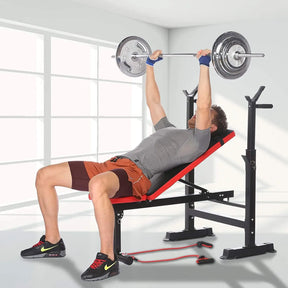 leg developer preacher curl rack fitness strength