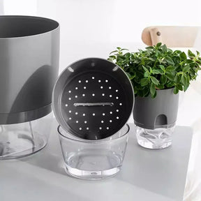 Self-Watering Transparent Hydroponic Plant Pot with Cotton Rope