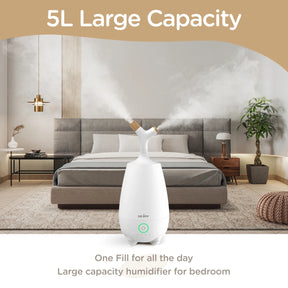 Home 5L Ultrasonic Cool Mist Cute Super Quiet Suitable