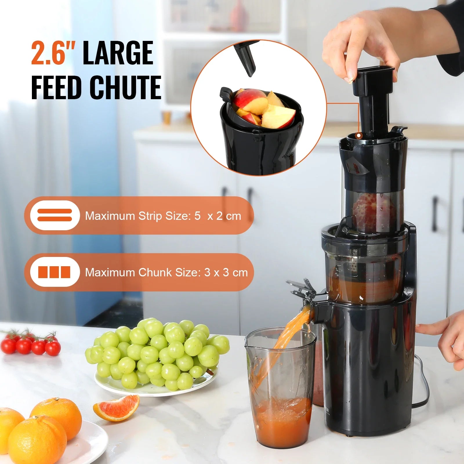 6" Large Feed Chute Slow Juicer Juice Extractor Maker