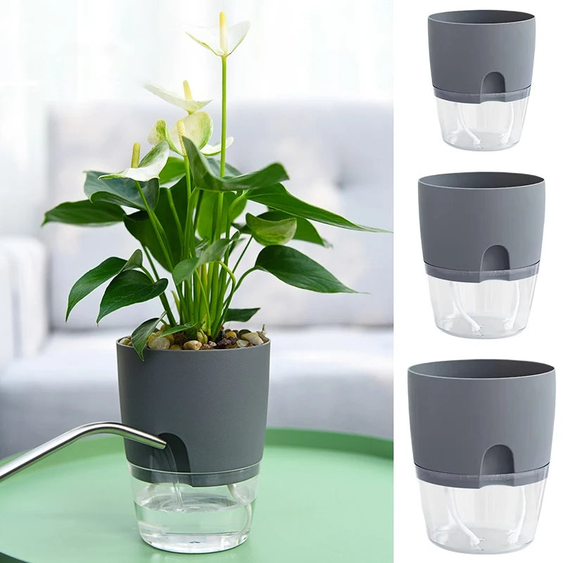 Self-Watering Transparent Hydroponic Plant Pot with Cotton Rope