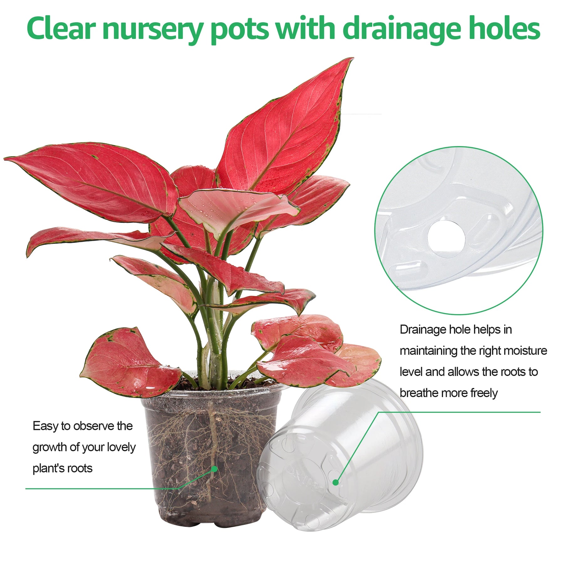 30-Pack Clear Nursery Pots with Drainage Holes, 3.5/4/5 Inch Transparent Planters